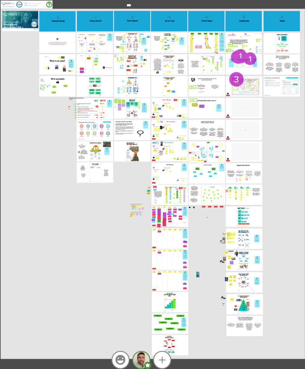 Professional Scrum Master II
